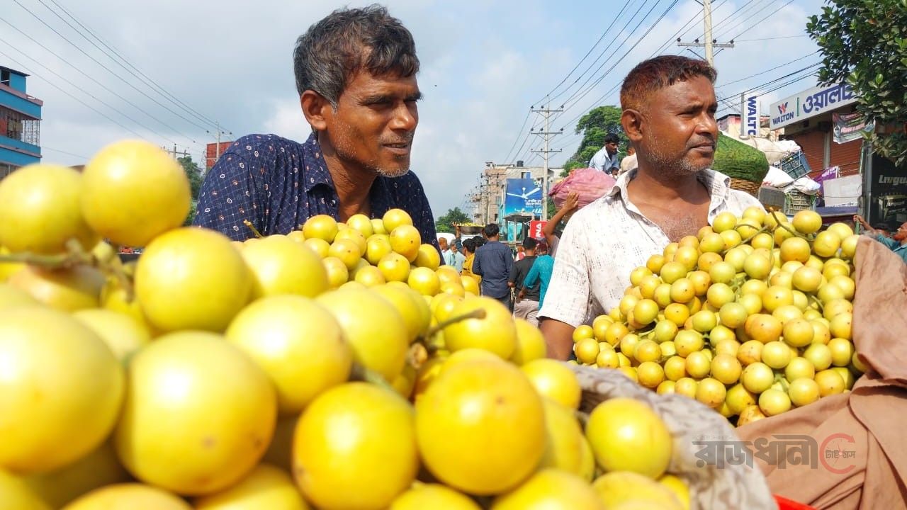লটকন চাষে স্বপ্ন বুনছে নরসিংদীর চাষিরা মরজাল বাসস্ট্যান্ডে বিশাল পাইকারি বাজার
